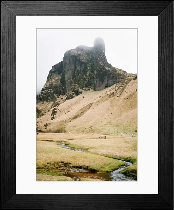 Framed Print : Herd of horses is grazing near a small river near the mountains. Iceland Framed Print : Herd of horses is grazing near a small river near the mountains. Iceland
