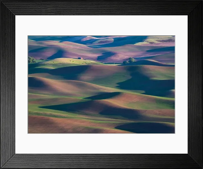 Framed Print : Long shadows creep across Springtime farmland in the Palouse Region of Eastern Washington State Framed Print : Long shadows creep across Springtime farmland in the Palouse Region of Eastern Washington State