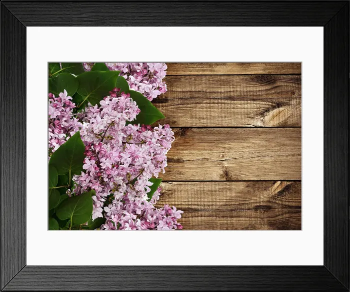 Framed Print : Branches of lilac flowers on wooden background Framed Print : Branches of lilac flowers on wooden background