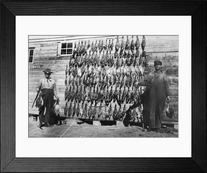 Framed Print : A successful duck hunt, ca. 1935 Framed Print : A successful duck hunt, ca. 1935