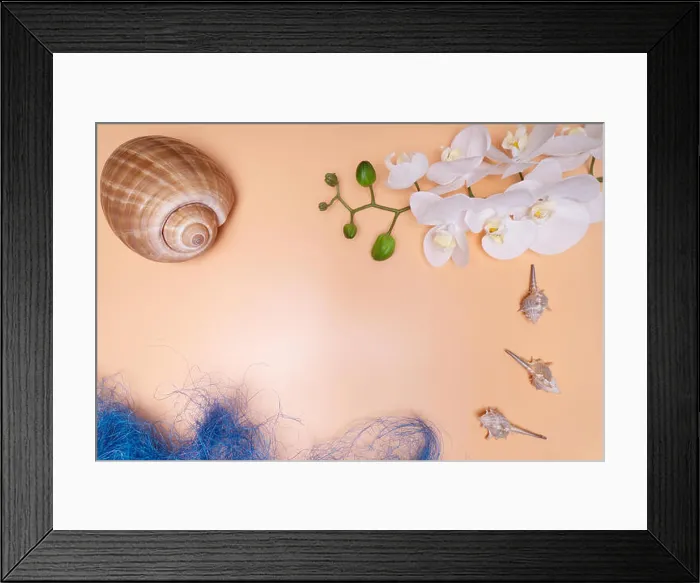 Framed Print : Natural Seashells, safe housing for marine life. On a beige background with orchid flowers Framed Print : Natural Seashells, safe housing for marine life. On a beige background with orchid flowers