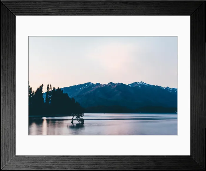 Framed Print : The Wanaka Tree at sunset Framed Print : The Wanaka Tree at sunset