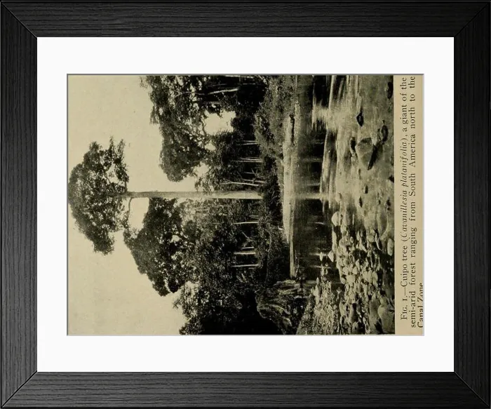 Framed Print : Smithsonian miscellaneous collections Framed Print : Smithsonian miscellaneous collections