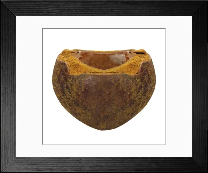 Framed Print : empty mangosteen isolated on white Framed Print : empty mangosteen isolated on white