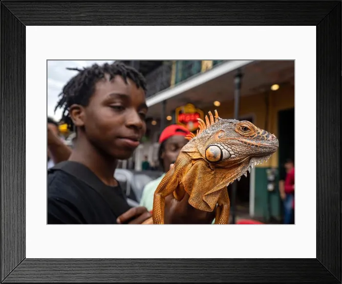 Framed Print : United States, Louisiana, New Orleans, the French Quarter Framed Print : United States, Louisiana, New Orleans, the French Quarter