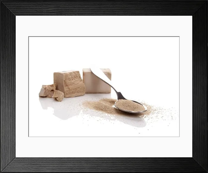 Framed Print : Different types of yeast. Fresh pressed and dry instant yeast on white background Framed Print : Different types of yeast. Fresh pressed and dry instant yeast on white background