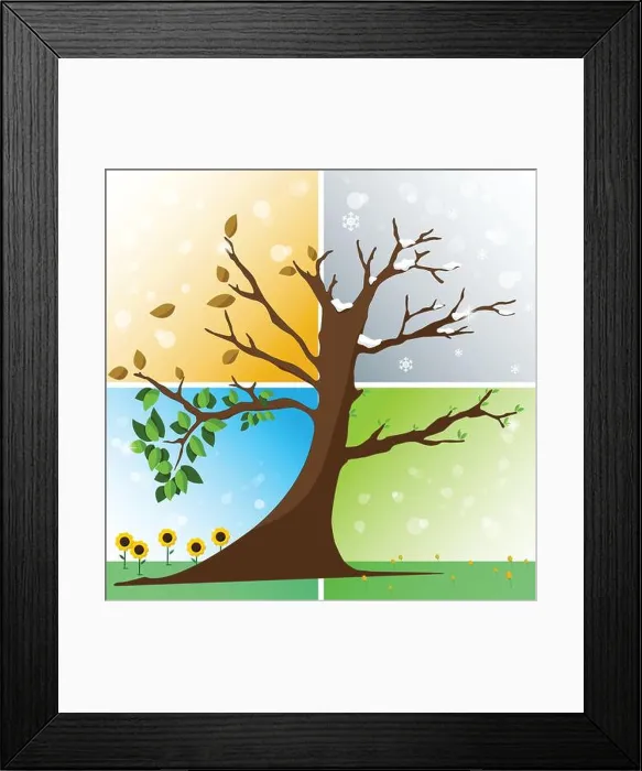 Framed Print : Four seasons in one tree - spring, summer, autumn, winter vector illustration Framed Print : Four seasons in one tree - spring, summer, autumn, winter vector illustration