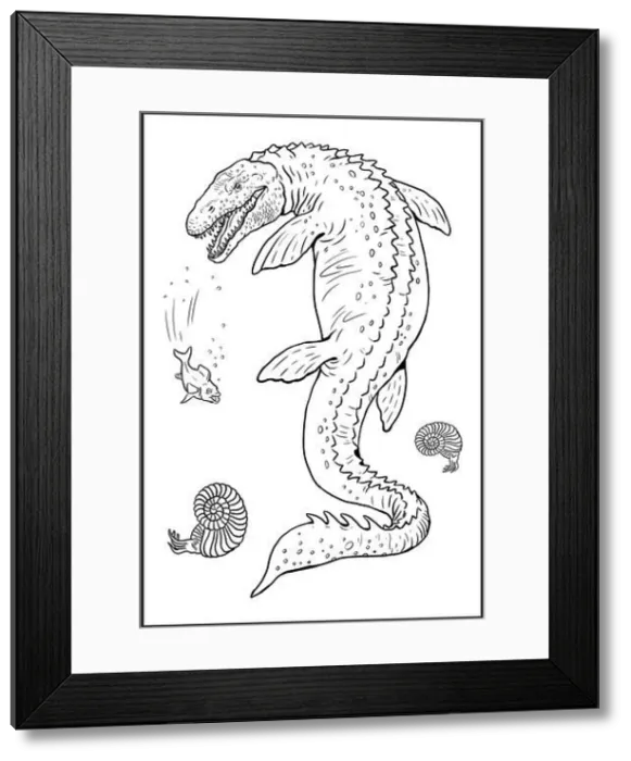 Framed Print : Aquatic prehistoric reptile - Mosasaurus. Aquatic dinosaur. Coloring page Framed Print : Aquatic prehistoric reptile - Mosasaurus. Aquatic dinosaur. Coloring page