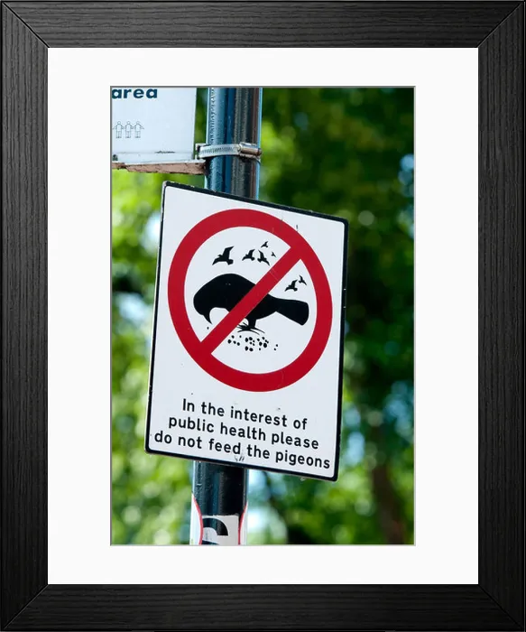Framed Print : Do not feed the pigeons sign, Sutton Coldfield, UK Framed Print : Do not feed the pigeons sign, Sutton Coldfield, UK