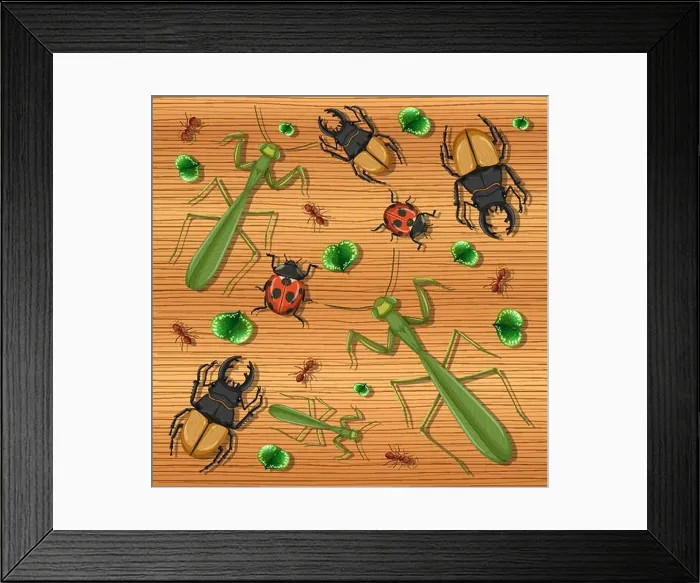 Framed Print : Set of different insects on wooden wallpaper background illustration Framed Print : Set of different insects on wooden wallpaper background illustration