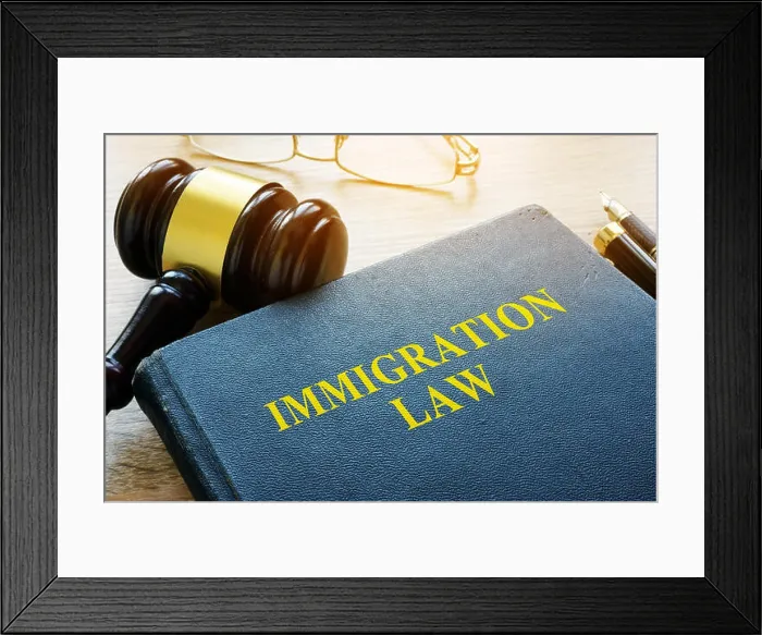 Framed Print : Immigration law and gavel in a court Framed Print : Immigration law and gavel in a court