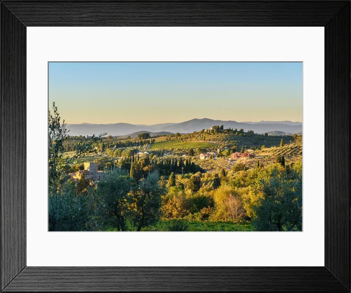 Framed Print : Countryside landscape, Vineyard in Chianti region in Tuscany. Italy