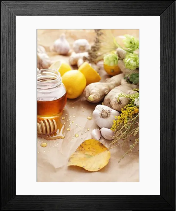 Framed Print : cold virus, house appropriations, flu, influenza, house appropriation Framed Print : cold virus, house appropriations, flu, influenza, house appropriation