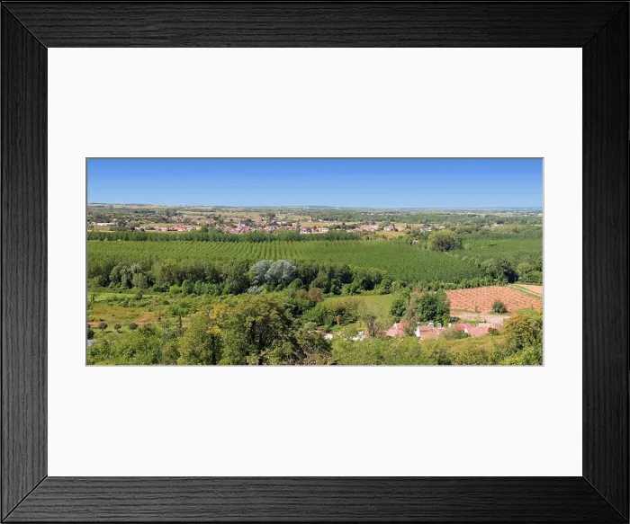 Framed Print : Bordeaux vineyards in spring Framed Print : Bordeaux vineyards in spring