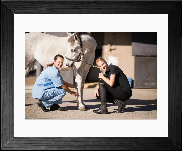Framed Print : Portrait of female jockey and vet crouching by horse at barn Framed Print : Portrait of female jockey and vet crouching by horse at barn