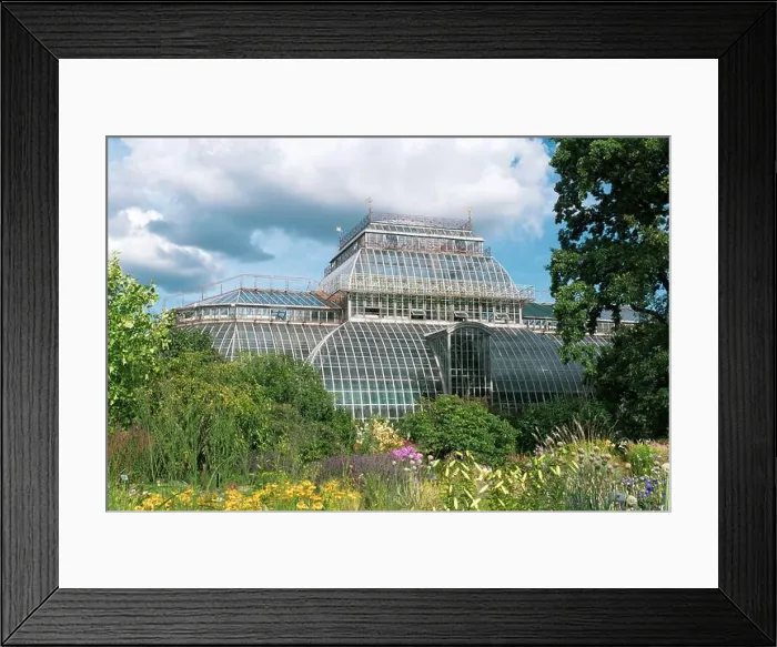 Framed Print : view of the Saint Petersburg Botanical Garden with flower beds and anсient palm greenhouse in the background Framed Print : view of the Saint Petersburg Botanical Garden with flower beds and anсient palm greenhouse in the background
