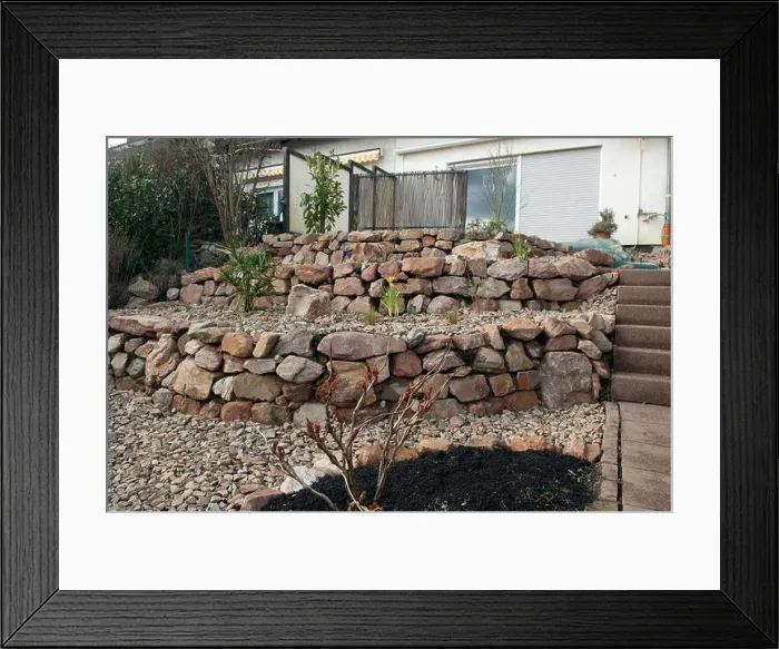 Framed Print : Steingarten frisch, bepflanzt, Pflanzen, junge