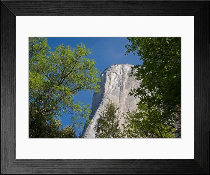 Framed Print : EL CAPITAN as seen through trees in the YOSEMITE VALLEY - YOSEMITE NATIONAL PARK, CALIFORNIA Framed Print : EL CAPITAN as seen through trees in the YOSEMITE VALLEY - YOSEMITE NATIONAL PARK, CALIFORNIA