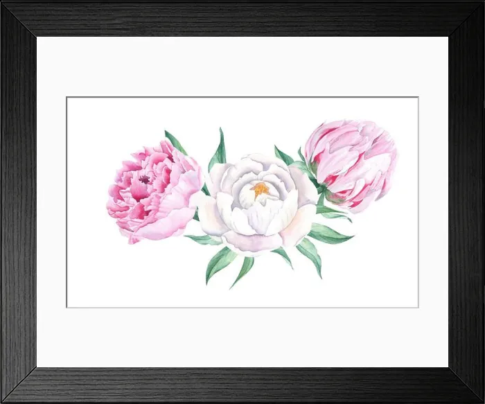 Framed Print : Watercolor peonies bouquet isolated on white background Framed Print : Watercolor peonies bouquet isolated on white background