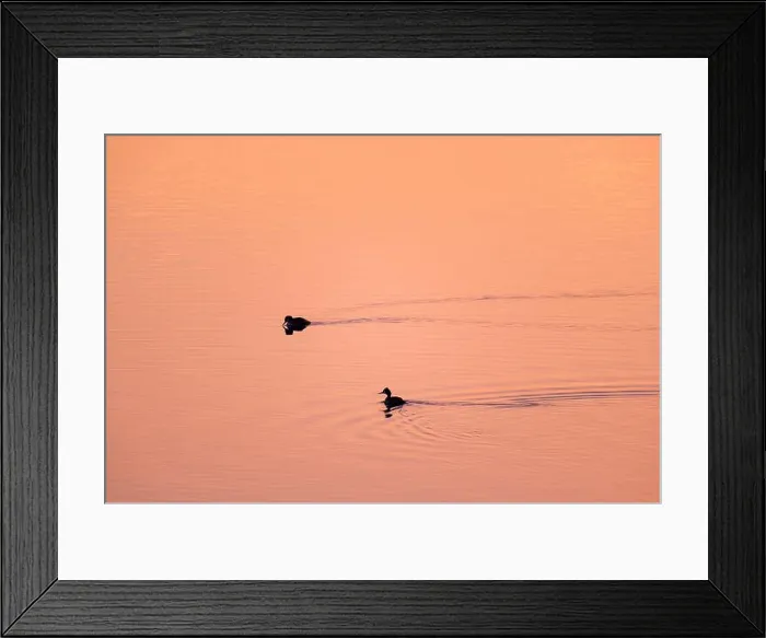 Framed Print : Evening atmosphere at Lac du Temple Framed Print : Evening atmosphere at Lac du Temple