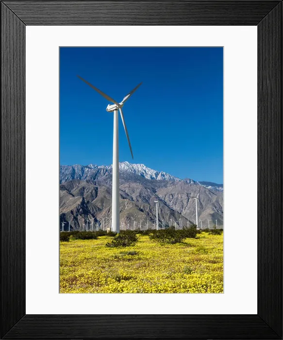 Framed Print : WIND TURBINES in Yucca Valley backdropped by the San Bernadino Mountains with California Dandelions Framed Print : WIND TURBINES in Yucca Valley backdropped by the San Bernadino Mountains with California Dandelions