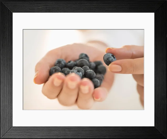 Framed Print : USA, New Jersey, Jersey City, Blueberries on woman's hand Framed Print : USA, New Jersey, Jersey City, Blueberries on woman's hand