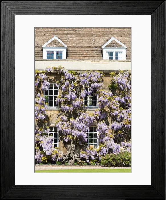 Framed Print : Christ's College, Cambridge, UK Framed Print : Christ's College, Cambridge, UK