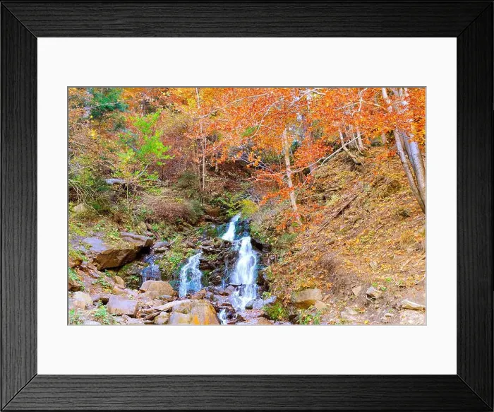 Framed Print : Beautiful autumn. Red beech leaves on stones with stream of mountain waterfall in background Framed Print : Beautiful autumn. Red beech leaves on stones with stream of mountain waterfall in background