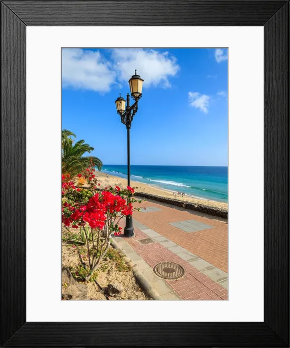 Framed Print : Tropical flowers on promenade along Jandia beach in Morro Jable with ocean view, Fuerteventura, Canary Islands, Spain Framed Print : Tropical flowers on promenade along Jandia beach in Morro Jable with ocean view, Fuerteventura, Canary Islands, Spain