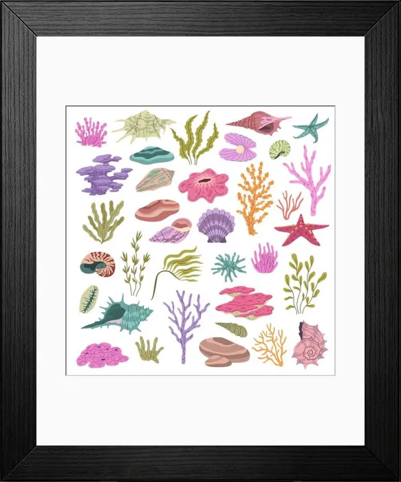 Framed Print : Seashell seaweeds corals. Color underwater conches Framed Print : Seashell seaweeds corals. Color underwater conches