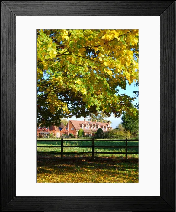 Framed Print : Row of cottages in autumn, Virginia Water, Surrey, England, United Kingdom Framed Print : Row of cottages in autumn, Virginia Water, Surrey, England, United Kingdom
