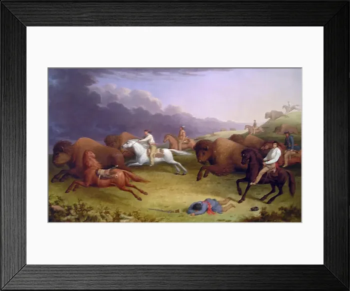 Framed Print : Paul Kane's Buffalo Hunt depicts the dramatic Framed Print : Paul Kane's Buffalo Hunt depicts the dramatic