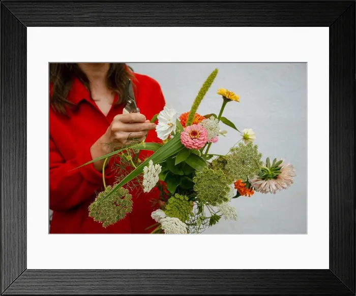 Framed Print : Florist wearing a red shirt carefully trimming stems and arranging a vibrant bouquet of various flowers Framed Print : Florist wearing a red shirt carefully trimming stems and arranging a vibrant bouquet of various flowers