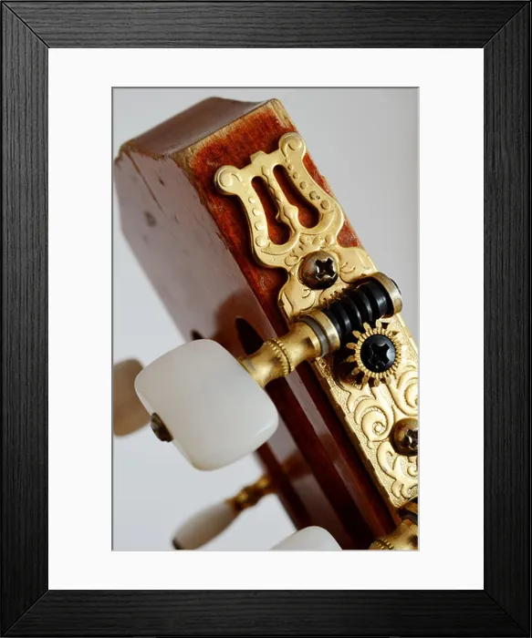 Framed Print : close-up head guitar neck with tuning pegs Framed Print : close-up head guitar neck with tuning pegs