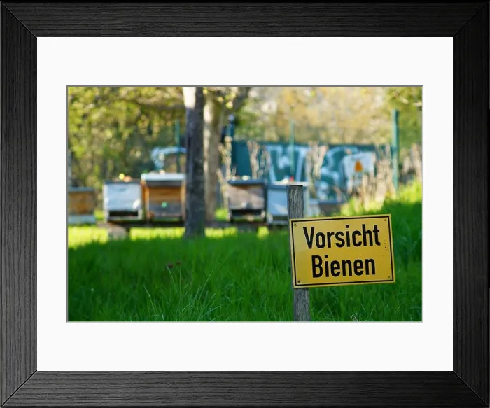 Framed Print : Sign Beware of the bees in front of some beehives Framed Print : Sign Beware of the bees in front of some beehives