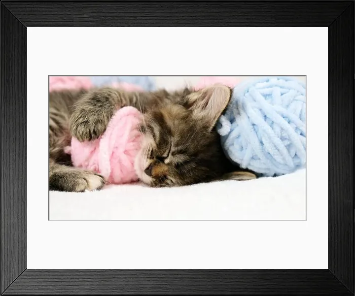 Framed Print : Close-up Cute tabby Cat sleeping with pink and light blue balls skeins of thread on white bed
