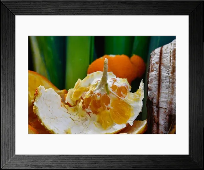 Framed Print : View into a container with organic waste for recycling, which consists of leeks, banana peels and orange peels Framed Print : View into a container with organic waste for recycling, which consists of leeks, banana peels and orange peels