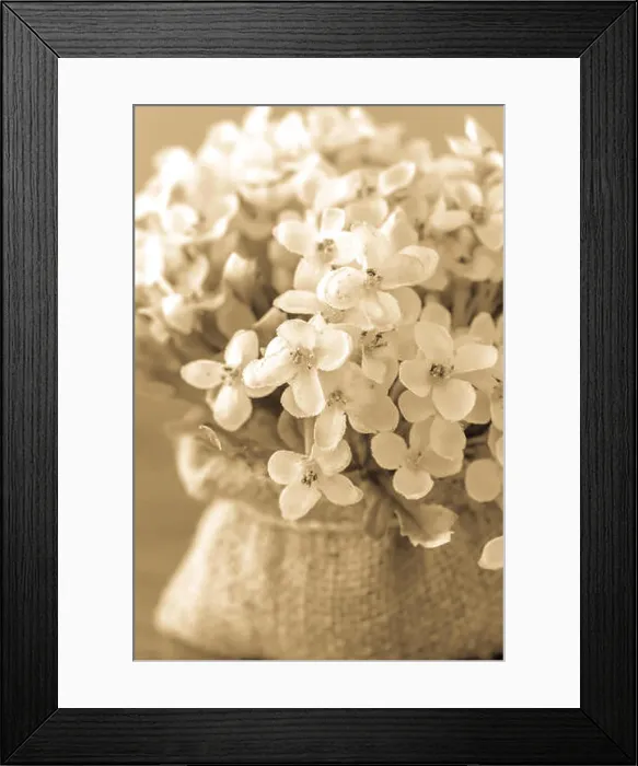 Framed Print : close up Flowers made from fabric on sack in gray color tone Framed Print : close up Flowers made from fabric on sack in gray color tone