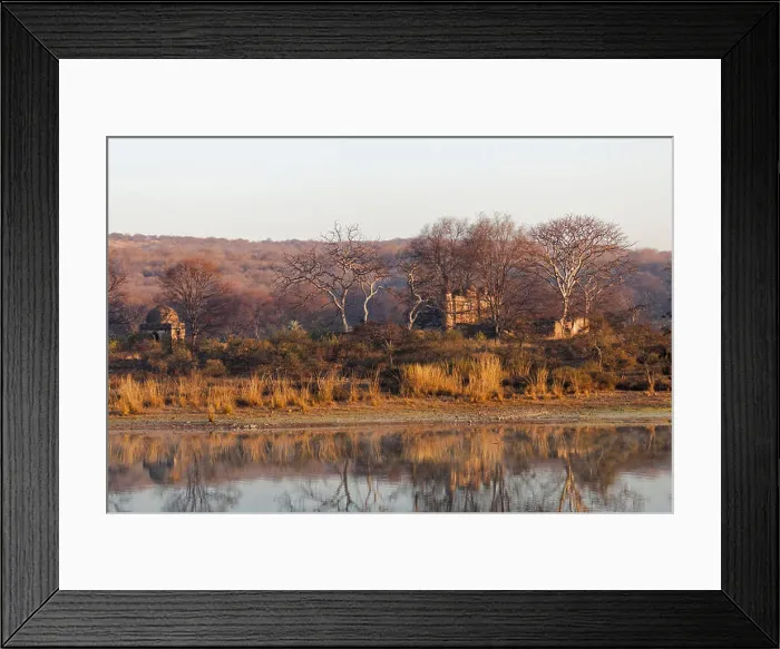 Framed Print : Across a lake in India the morning sun lights up an abandoned hunting lodge Framed Print : Across a lake in India the morning sun lights up an abandoned hunting lodge