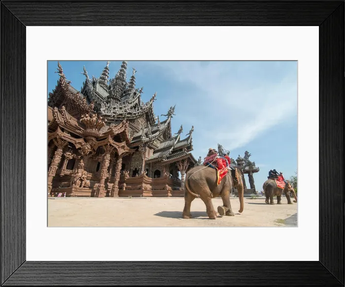 Framed Print : a elephant tour at the Wood Sanctuary of Truth Temple in the city of Pattaya in the Provinz Chonburi in Thailand Framed Print : a elephant tour at the Wood Sanctuary of Truth Temple in the city of Pattaya in the Provinz Chonburi in Thailand