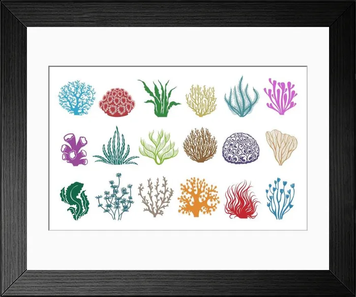 Framed Print : Seaweeds and corals on white. Colored aquarium plants vector illustration Framed Print : Seaweeds and corals on white. Colored aquarium plants vector illustration