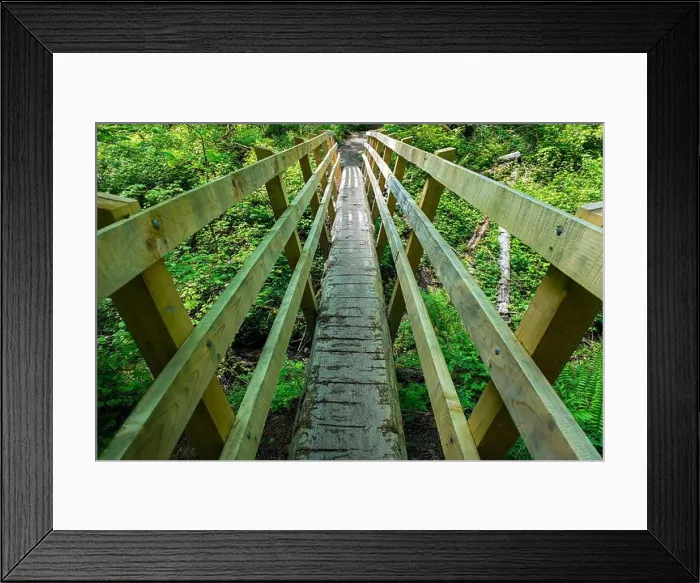 Framed Print : A Narrow Wood Footbridge on a Hiking Trail Near Squak Mountain, Washington, USA Framed Print : A Narrow Wood Footbridge on a Hiking Trail Near Squak Mountain, Washington, USA