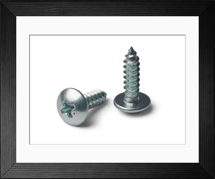 Framed Print : close-up of two self tapping phillips head screws with sharp point isolated white background Framed Print : close-up of two self tapping phillips head screws with sharp point isolated white background