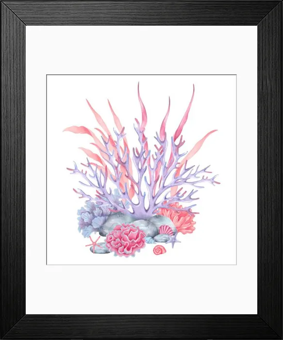 Framed Print : Coral reef with shells, rocks, starfish Framed Print : Coral reef with shells, rocks, starfish