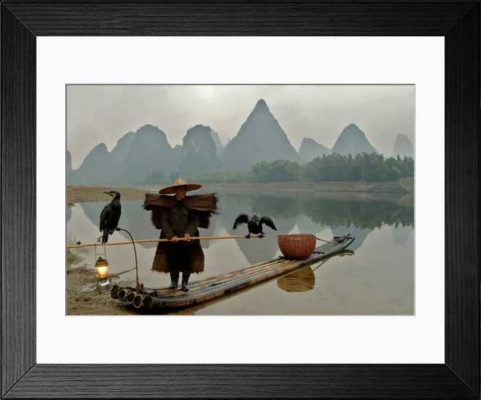 Framed Print : Li River fisherman wearing palm leaf rain cape on bamboo raft with cormorants Framed Print : Li River fisherman wearing palm leaf rain cape on bamboo raft with cormorants