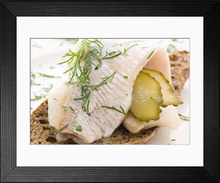 Framed Print : Herring Herring Framed Print : Herring Herring
