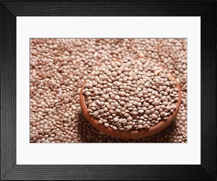 Framed Print : Black masoor dal is an Indian lentil often used for making Dal Makhni Framed Print : Black masoor dal is an Indian lentil often used for making Dal Makhni