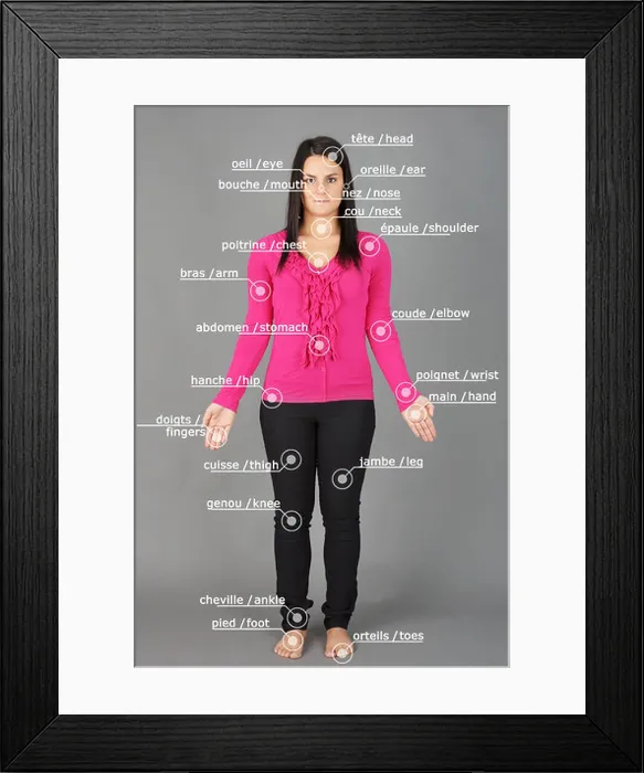 Framed Print : Human anatomy or body: woman posing on grey with french and english words Framed Print : Human anatomy or body: woman posing on grey with french and english words