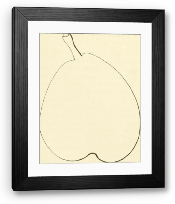 Framed Print : Dictionnaire de pomologie, contenant l'histoire Framed Print : Dictionnaire de pomologie, contenant l'histoire
