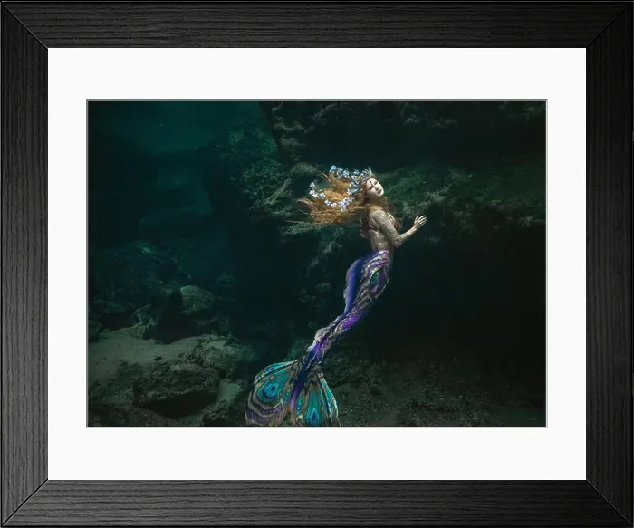 Framed Print : Side view of a beautiful mid adult woman with a butterfly pattern mermaid tail swimming along the ocean floor Framed Print : Side view of a beautiful mid adult woman with a butterfly pattern mermaid tail swimming along the ocean floor